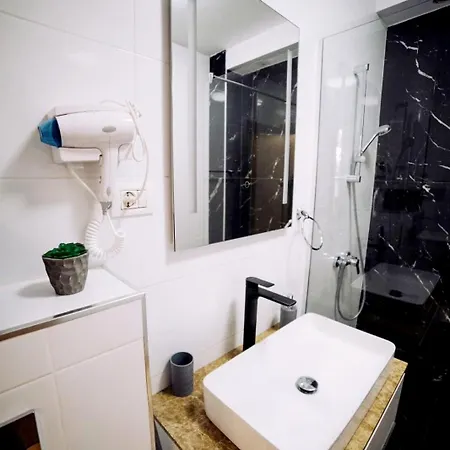 Roses-endless Summer