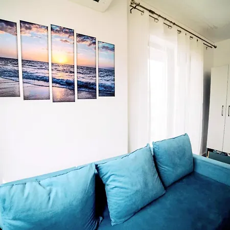 Apartment Roses-endless Summer *