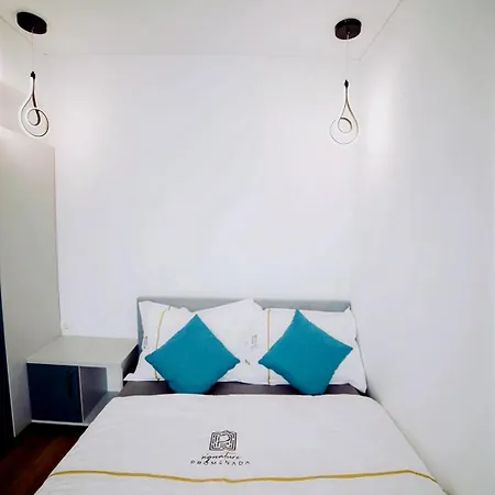 Roses-endless Summer Apartment *