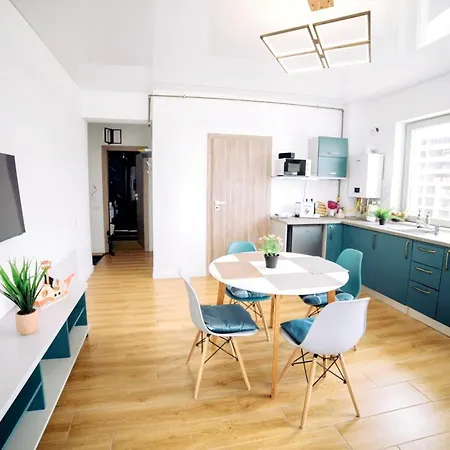 Apartment Roses-endless Summer