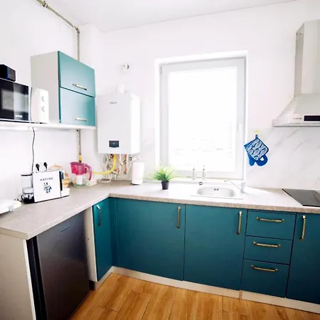 Roses-endless Summer