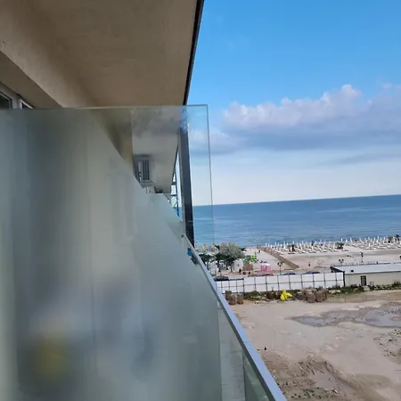 Roses-endless Summer *