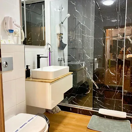 Roses-endless Summer Apartment