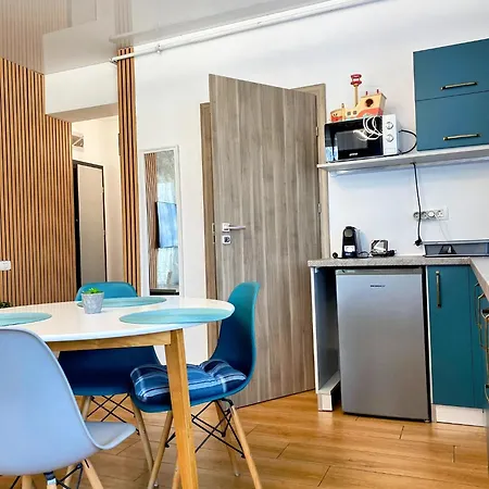 Roses-endless Summer Apartment Navodari