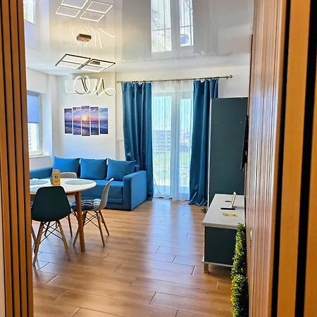 Roses-endless Summer * Navodari