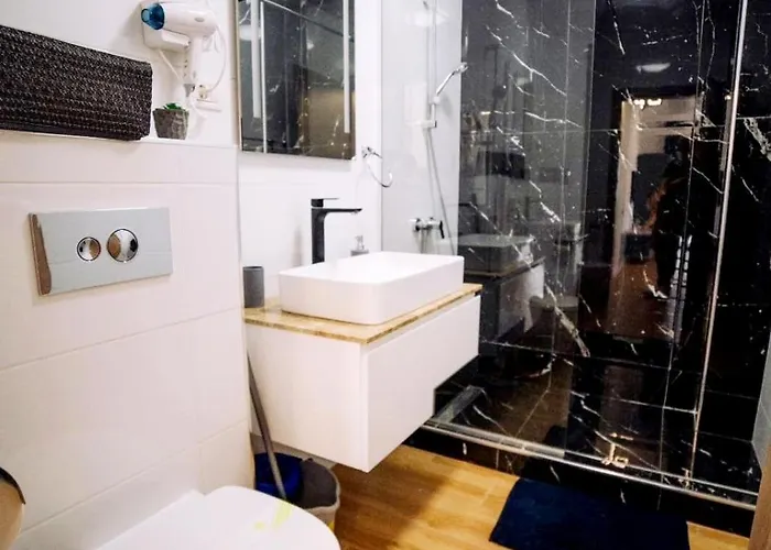 Roses-endless Summer Năvodari