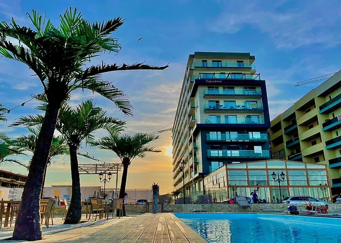 Roses-endless Summer * Năvodari