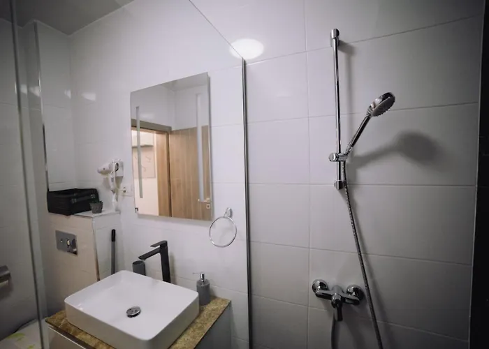 Roses-endless Summer Năvodari