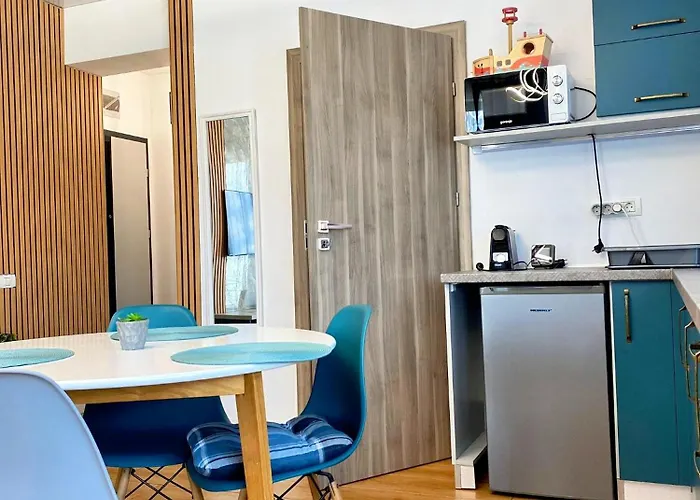 Roses-endless Summer Apartment Navodari